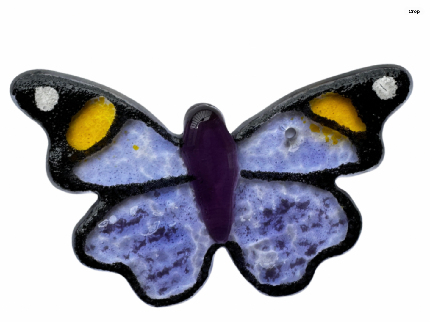 Purple Morpho