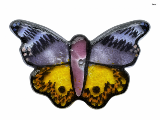 Purple Swallowtail