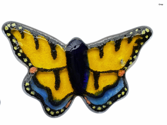 Golden Tiger Swallowtail